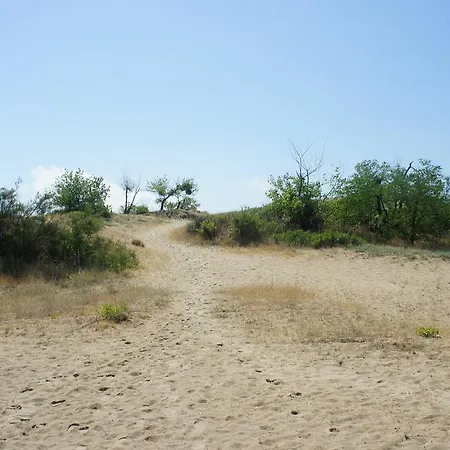 公寓 Miramar Front Self Catering No Swim Pool Access 阳光海滩